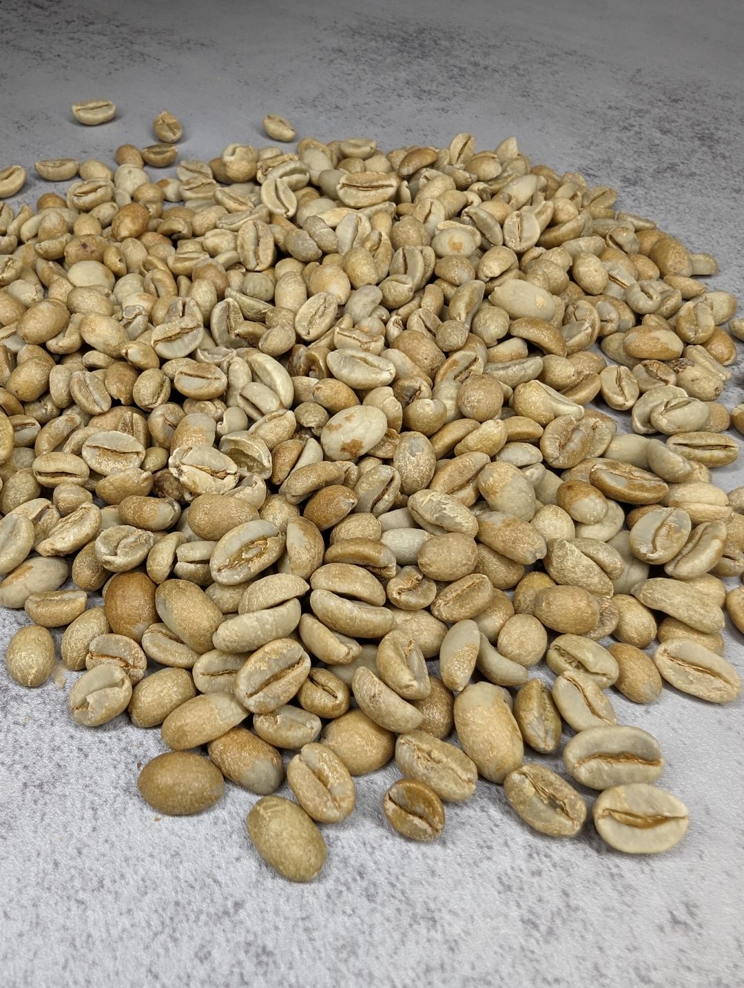 ETHIOPIA HAMBELA GORO | WHOLESALE $14 per lbs